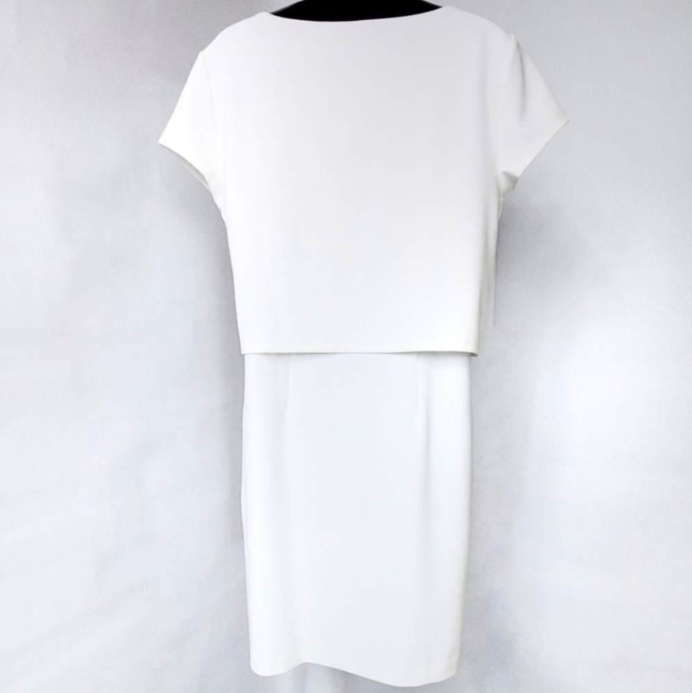 Daniel Cremieux Dress - Picture 3 of 5